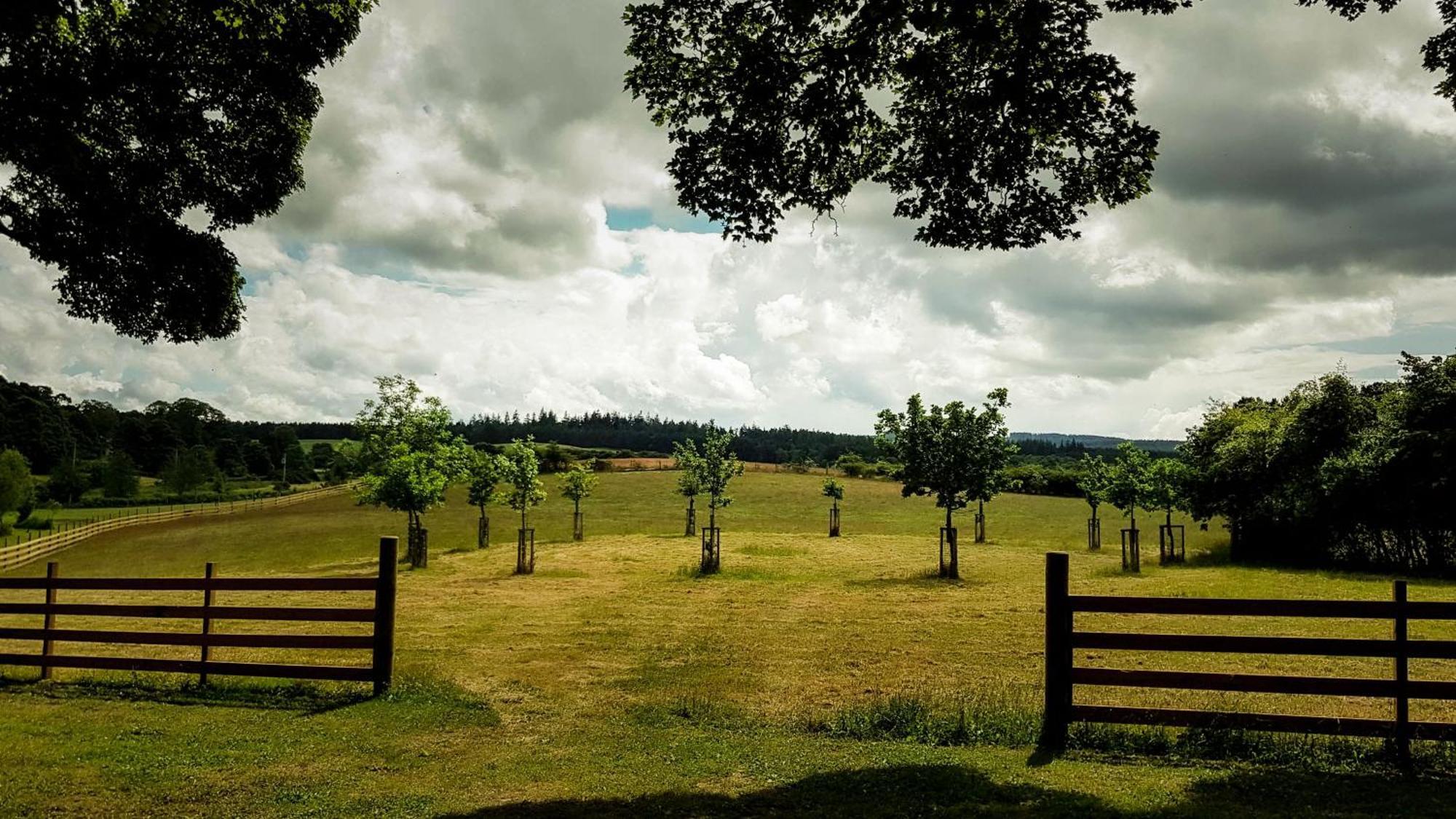 Marcassie Farm Lodges - Willow Studio Forres Esterno foto