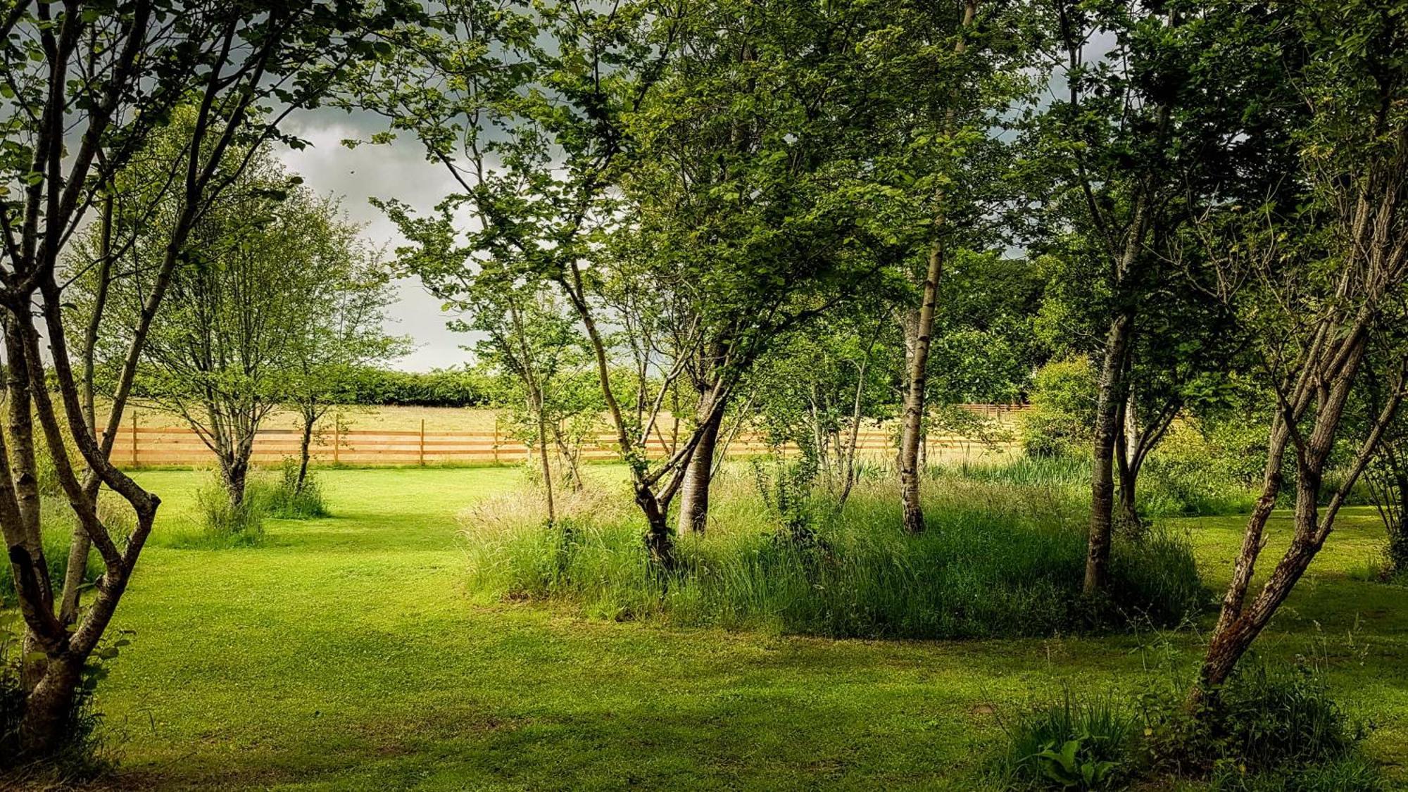 Marcassie Farm Lodges - Willow Studio Forres Esterno foto