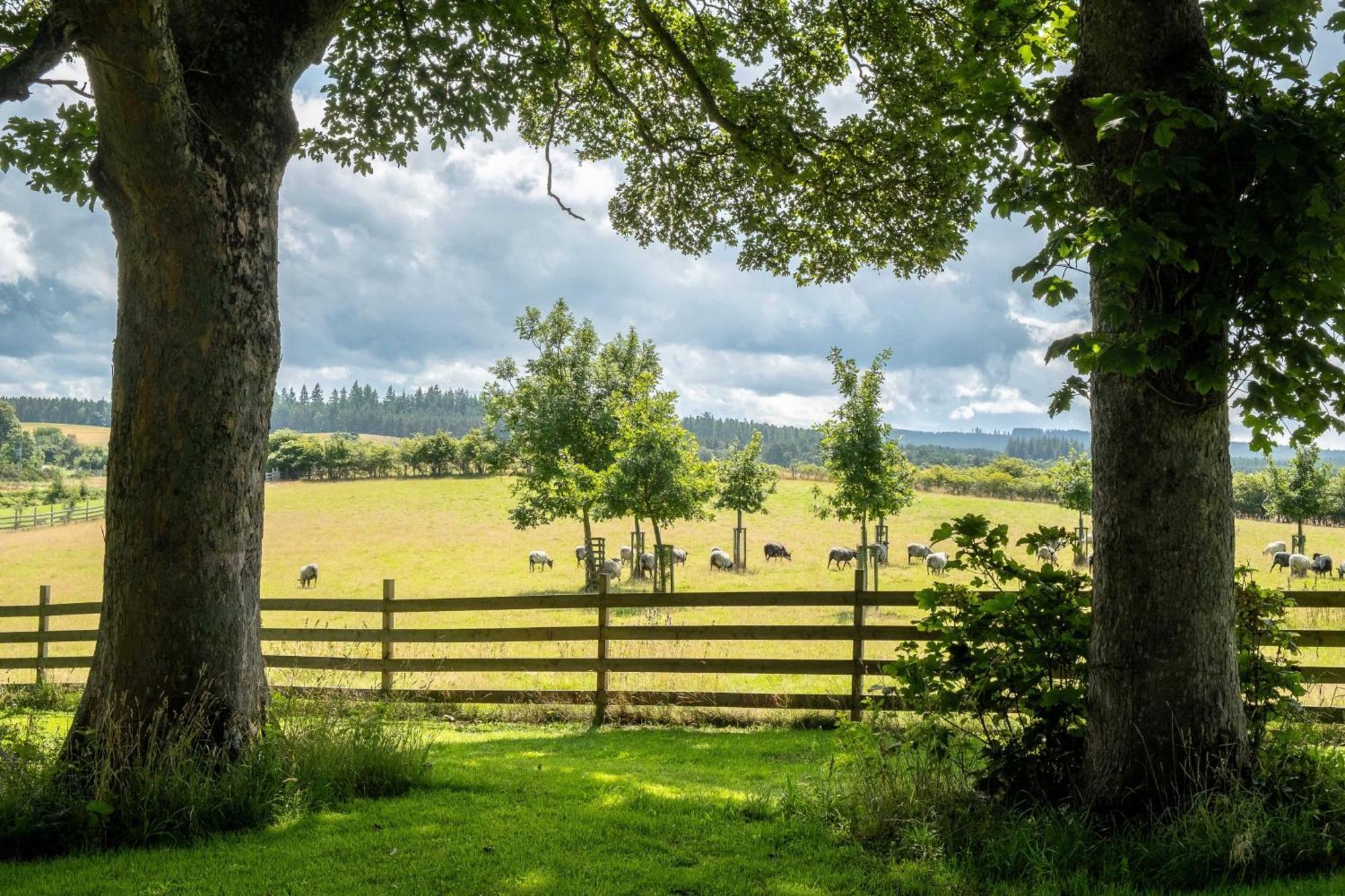 Marcassie Farm Lodges - Willow Studio Forres Esterno foto