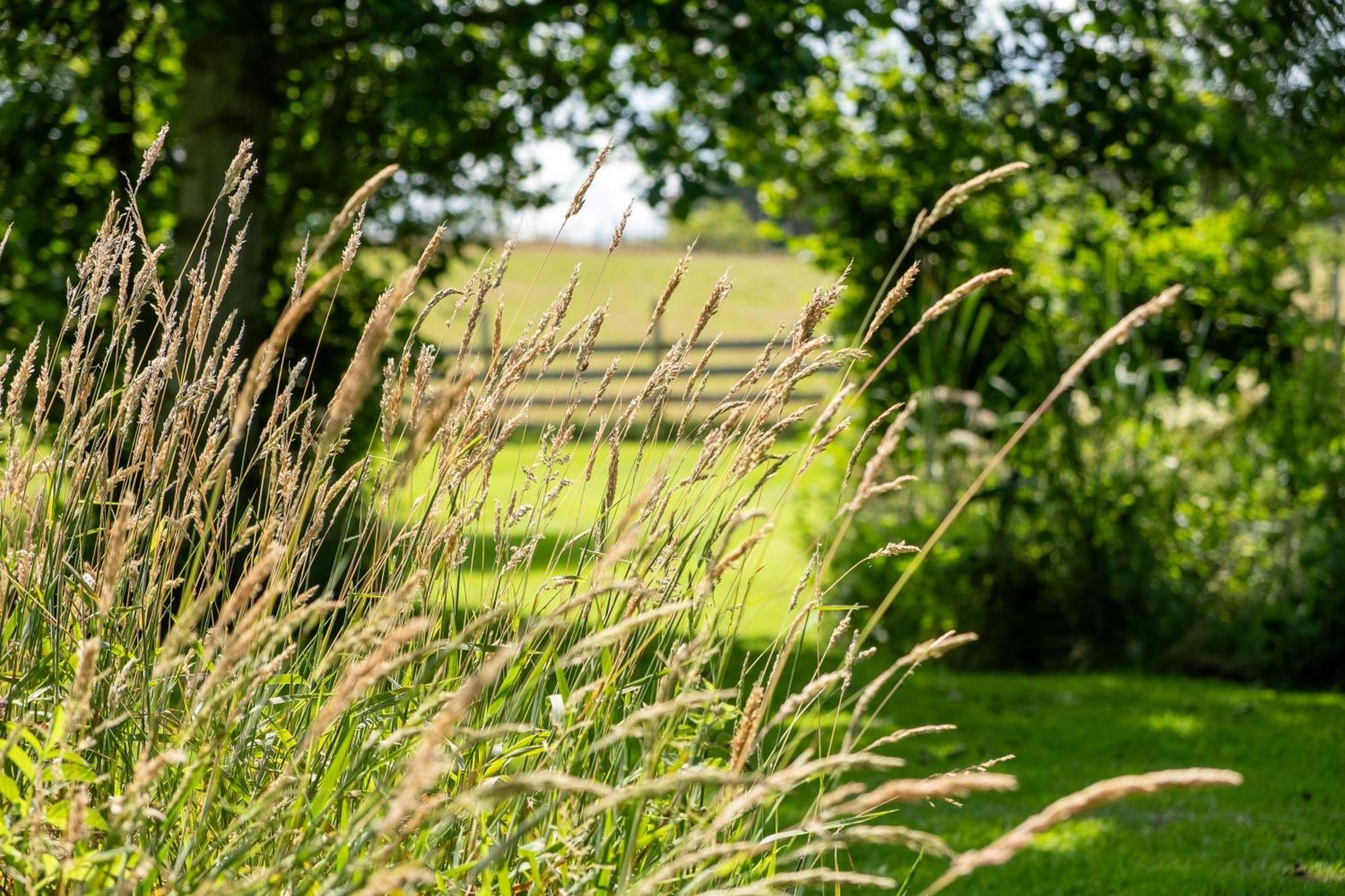 Marcassie Farm Lodges - Willow Studio Forres Esterno foto