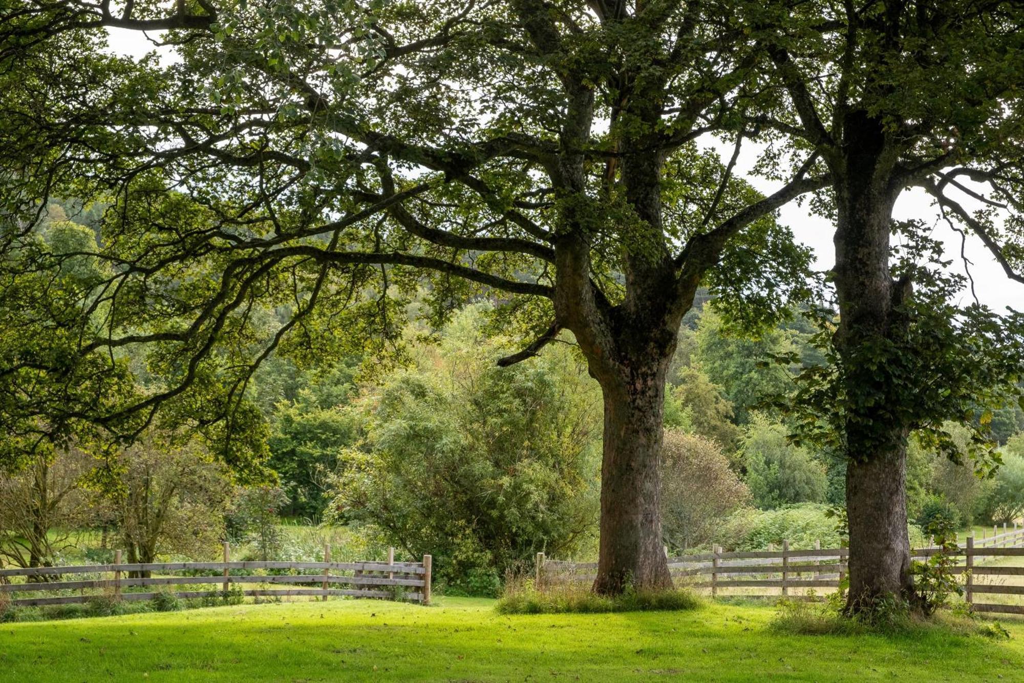 Marcassie Farm Lodges - Willow Studio Forres Esterno foto